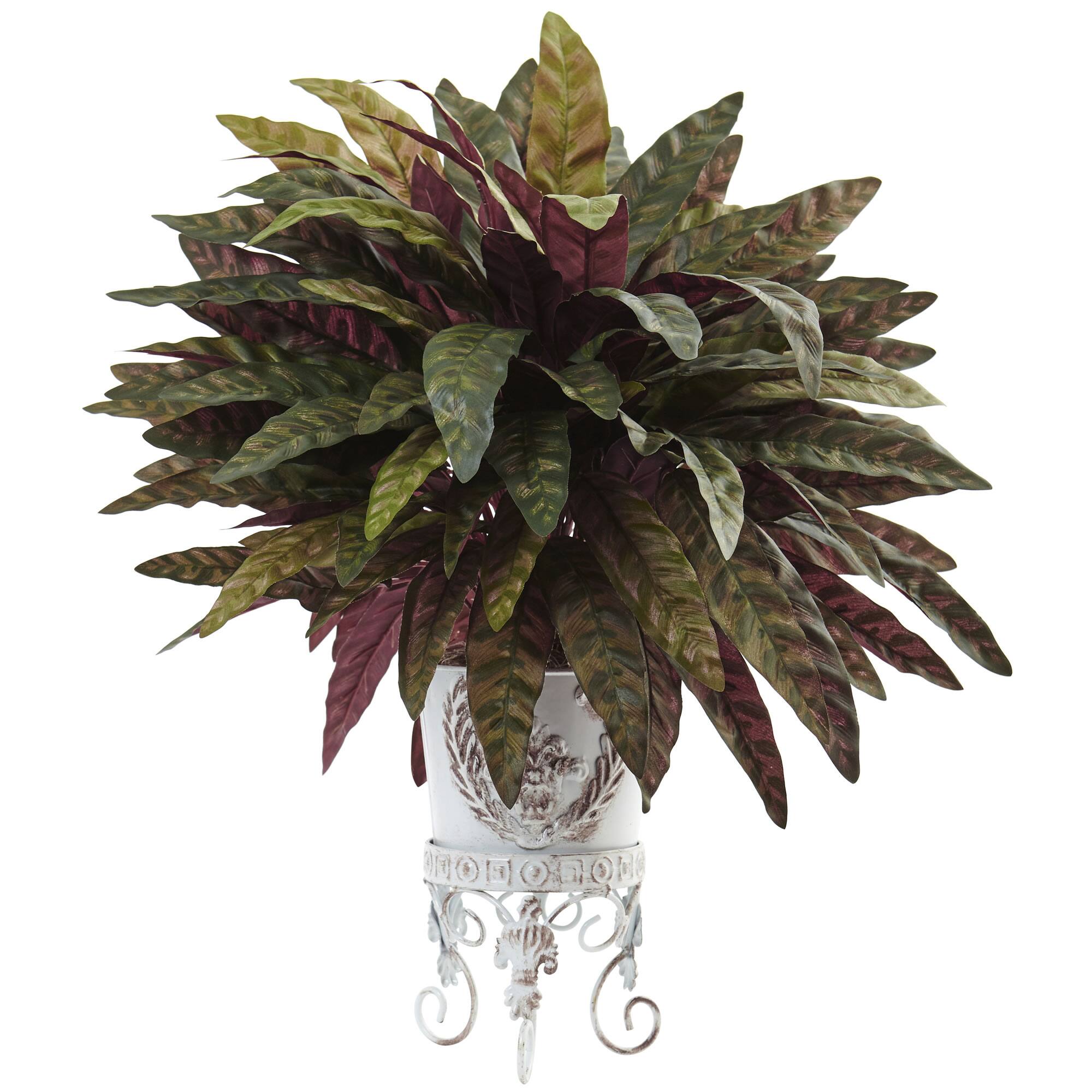 2ft. Peacock Bush with White Metal Planter